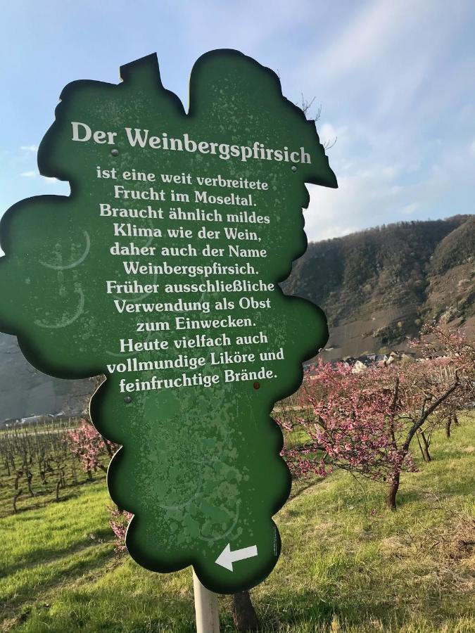 Residenz Moselzauber - Ferienwohnungen Mit Pool Landschaft แอนสท์ ภายนอก รูปภาพ